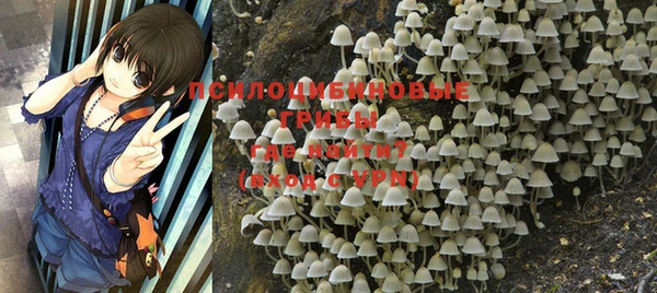 ПСИЛОЦИБИНОВЫЕ ГРИБЫ Краснотурьинск