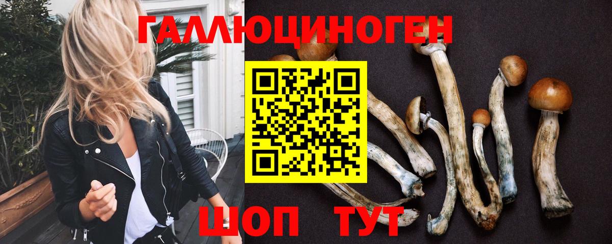 Галлюциногенные грибы мухоморы  Вход с VPN  Саки  наркота  Псилоцибиновые грибы Psilocybine cubensis 